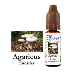 E liquide champignon Agaricus - UNIVERS VAPE