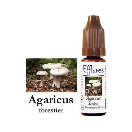 E liquide champignon Agaricus - UNIVERS VAPE