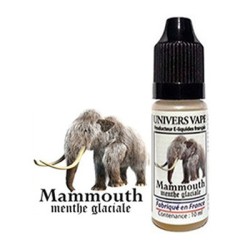 Eliquide menthe glaciale/fruits rouges - UNIVERS VAPE